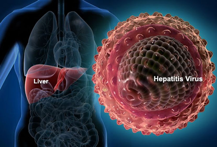 Seis medidas para evitar el contagio de Hepatitis C