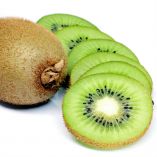 Simposio Internacional: beneficios y nutrición del Kiwi