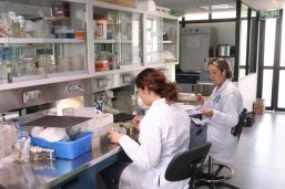 Profesionales médicos concluyen etapas de inscripción al ENARM