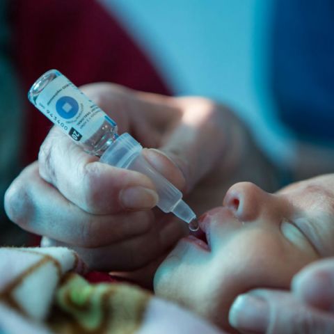 Vacuna buscará erradicar la polio