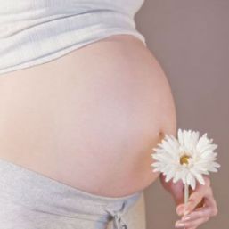 Flores de Bach, alternativa natural para el embarazo