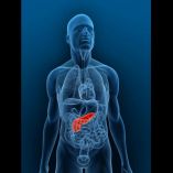 ¿Dolor estomacal o pancreatitis?