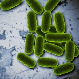 Alerta por superbacterias en 2050
