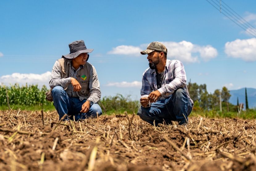 Suma México 29.8 millones de hectáreas de uso agrícola
