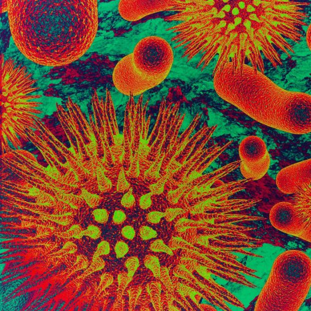 Microbios: conócelos y prevén enfermedades