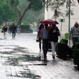 Evita enfermedades con las lluvias