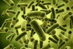 Microbiota: mitos y realidades