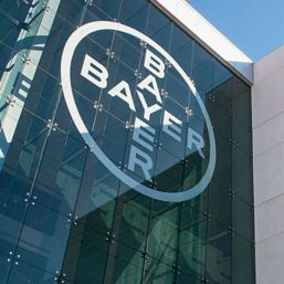 Bayer crece en 2016