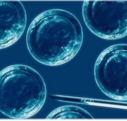 Células madre, opción de vida a largo plazo