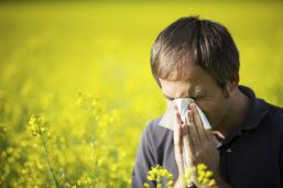 Alergias, ¿culpa del cambio climático?