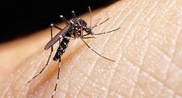Chiapas continúa encabezando afectados por Zika