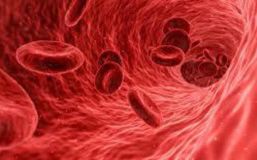 Roche revela estudio sobre hemofilia