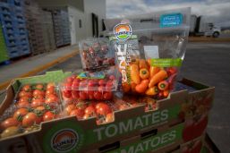 Frutas y verduras impulsan superávit comercial