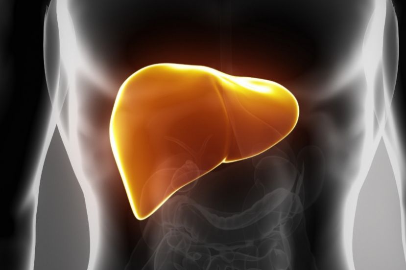 Hígado graso, impacta a un tercio de la población mundial