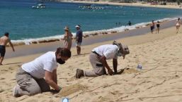 Los Cabos refrenda certificación de sus playas