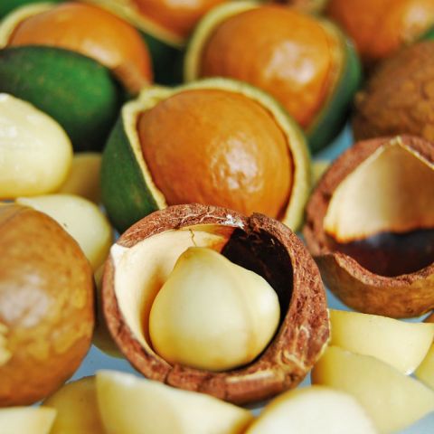 ¿Qué virtudes tiene la nuez de macadamia?
