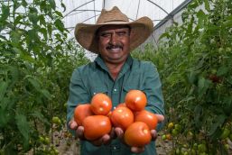 Benefician a 622 mil productores con fertilizantes