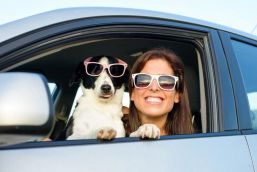 7 tips para viajar con tu mascota