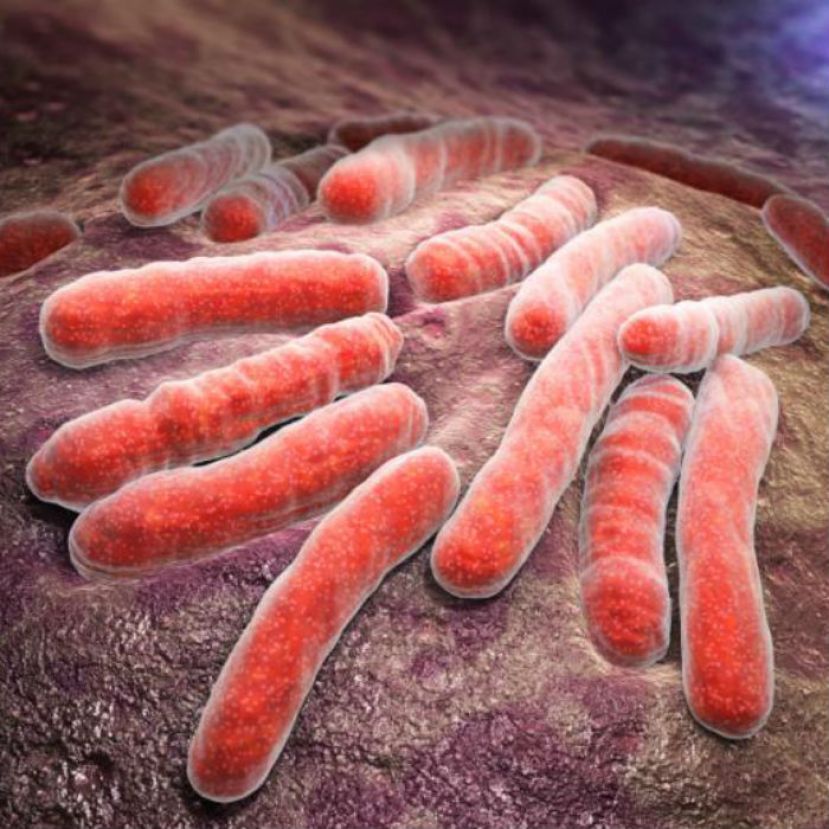 Crean prueba rápida para diagnosticar tuberculosis