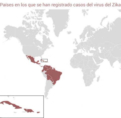 OPS monitoreará virus de zika